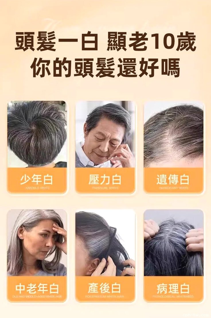 靈芝烏黑片&copy;萃品匯